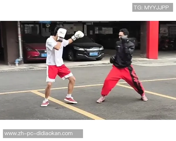 格斗与拳击的终极对决谁才是真正的战斗王者分析与探讨